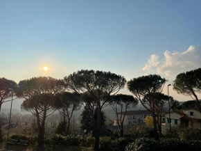 La Sosta Panzano In Chianti